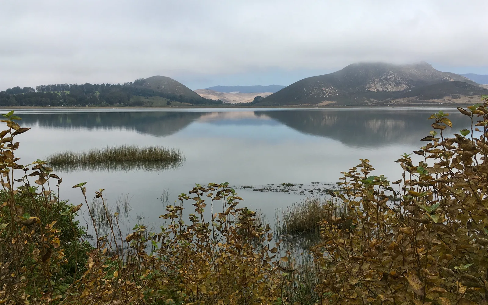 Morro Bay estuary at high tide with water and coastal landscape